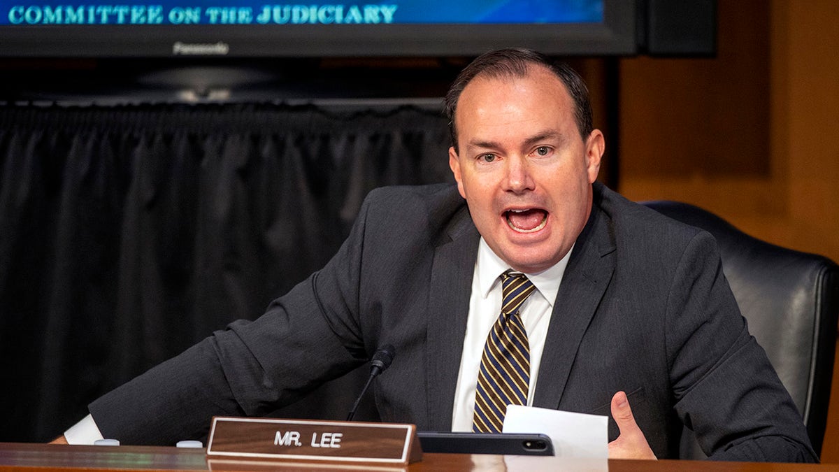 Democratic congresswomen, pink protest, Donald Trump, joint address, women's rights, Rep. Teresa Leger Fernández, Sen. Mike Lee, Protection of Women and Girls in Sports Act, transgender athletes, women's sports, Senate vote, filibuster, Elizabeth Warren, thumbs down, executive order, Fox News
