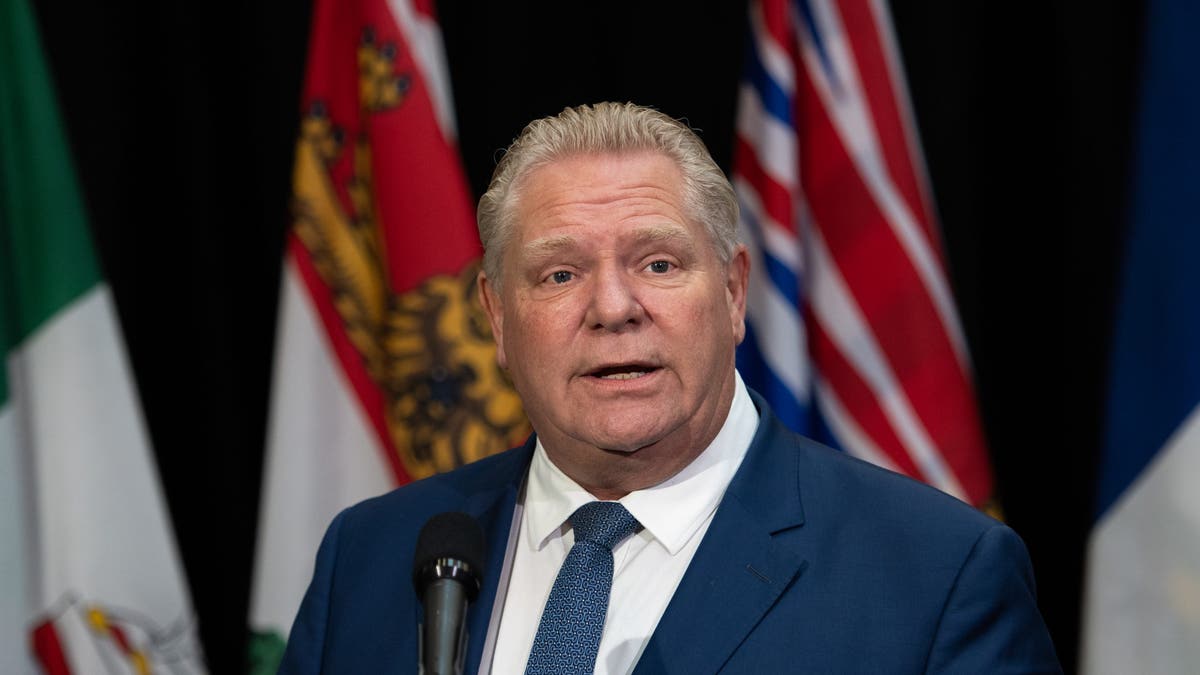Donald Trump, tariffs, Canada, Ontario, Doug Ford, Justin Trudeau, energy, electricity, trade, retaliation, United States, US, economy, exports, imports, 51st state
