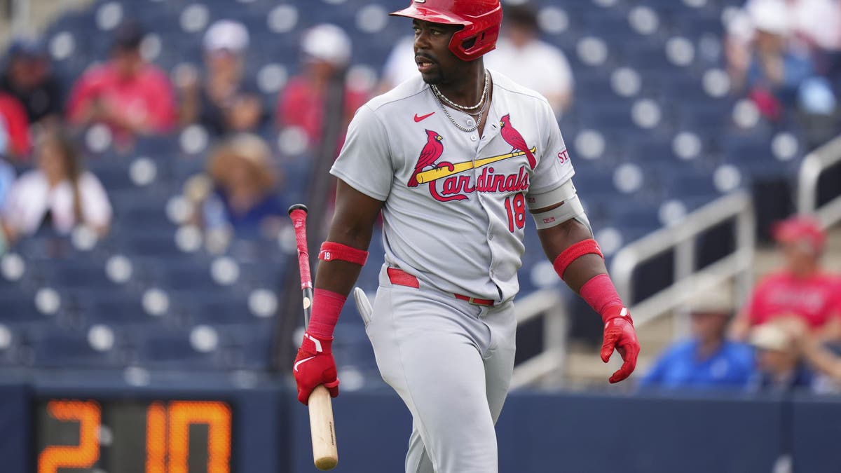 Jordan Walker, St. Louis Cardinals, knee injury, spring training, baseball, MLB, Oliver Marmol, MRI, right fielder, injury update, opening day, Cardinals news, Fox News Sports
