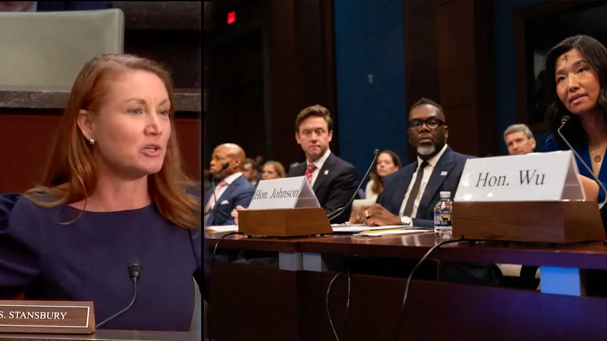 Melanie Stansbury, Democrat, New Mexico, House Oversight Committee, sanctuary cities, Eric Adams, Michelle Wu, Brandon Johnson, Mike Johnston, immigration, Donald Trump, immigration reform, illegal immigrants, Tom Homan, House floor, This is not normal

