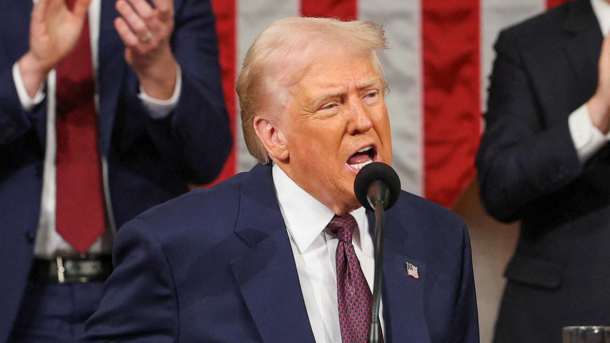 Donald Trump, Joe Biden, Address to Congress, political jabs, border security, illegal immigration, Laken Riley, Jocelyn Nungaray, Ukraine, Volodymyr Zelenskyy, Russia, Elizabeth Warren, weaponization of government, Marc Fogel, Russia detention, Al Green, economy, inflation, energy prices, Green New Deal, climate policy, Paris Agreement
