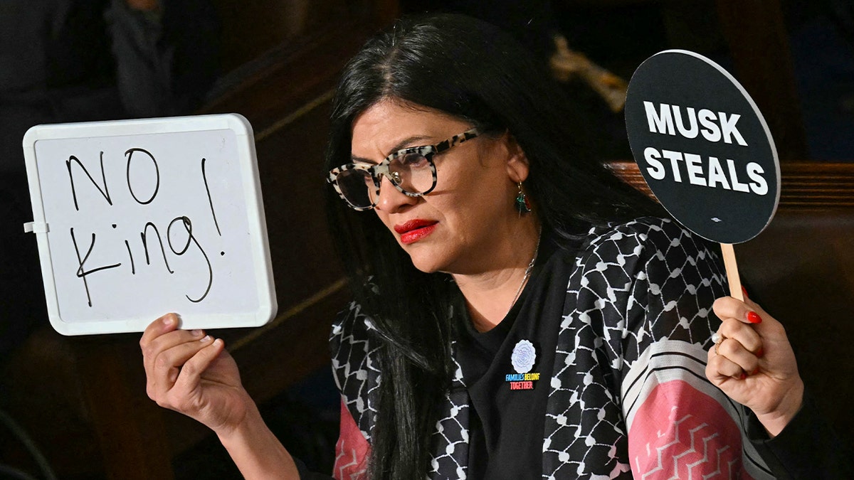 Rashida Tlaib, Donald Trump, State of the Union, SOTU, Congress, Democrats, protest, whiteboard, keffiyeh, Nancy Mace, Trump derangement syndrome, TDS, Melanie Stansbury, Al Green, heckling, DJ, Laken Riley, Jocelyn Nungaray, Maxwell Frost, No kings live here, political shirts, Ari Fleischer, memes, social media, Noa Argamani, Hamas, Israel, politics, US politics, Squad, House Democrats.

