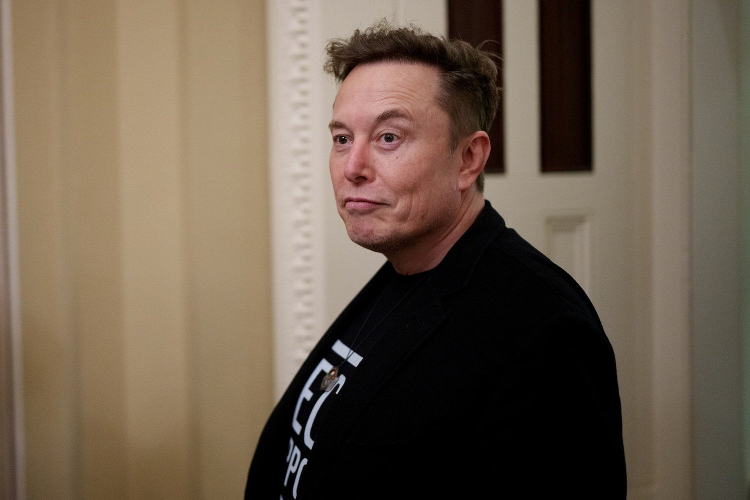 Elon Musk, privatization, U.S. Postal Service, Amtrak, DOGE, oligarch, transportation, rail service, Hyperloop, California high-speed rail, Donald Trump, Department of Education, Congress, funding, government contracts, SpaceX, Amazon, Postal Clause, Constitution, rule of law
