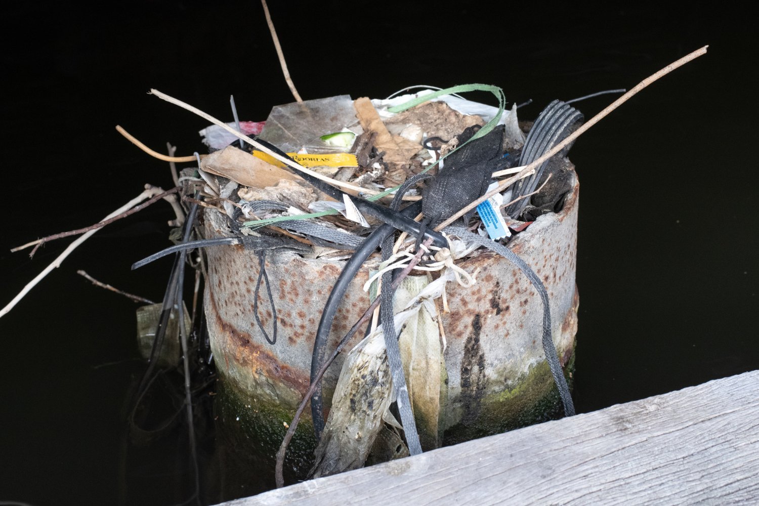 Plastic pollution, Anthropocene, common coot nests, bird nests, nest reuse, plastic dating, environmental impact, wildlife, evolution, Auke-Florian Hiemstra, The Netherlands, stratigraphy, waste, litter, time capsules, nest construction, dating methods, ecological impact, human impact, geological era

