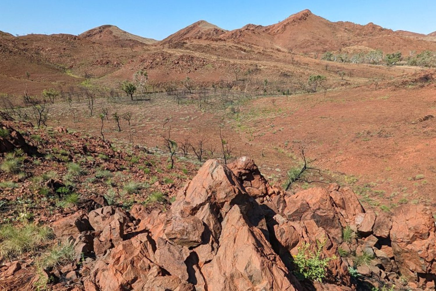 meteorite impact, impact crater, Pilbara, Western Australia, shatter cones, North Pole Dome, Yarrabubba, Earth's crust, plate tectonics, early Earth, stromatolites, microbial life, fossilized structures, Curtin University, Tim Johnson, Chris Kirkland, Nature Communications, geological discovery, ancient craters, Earth's impact history
