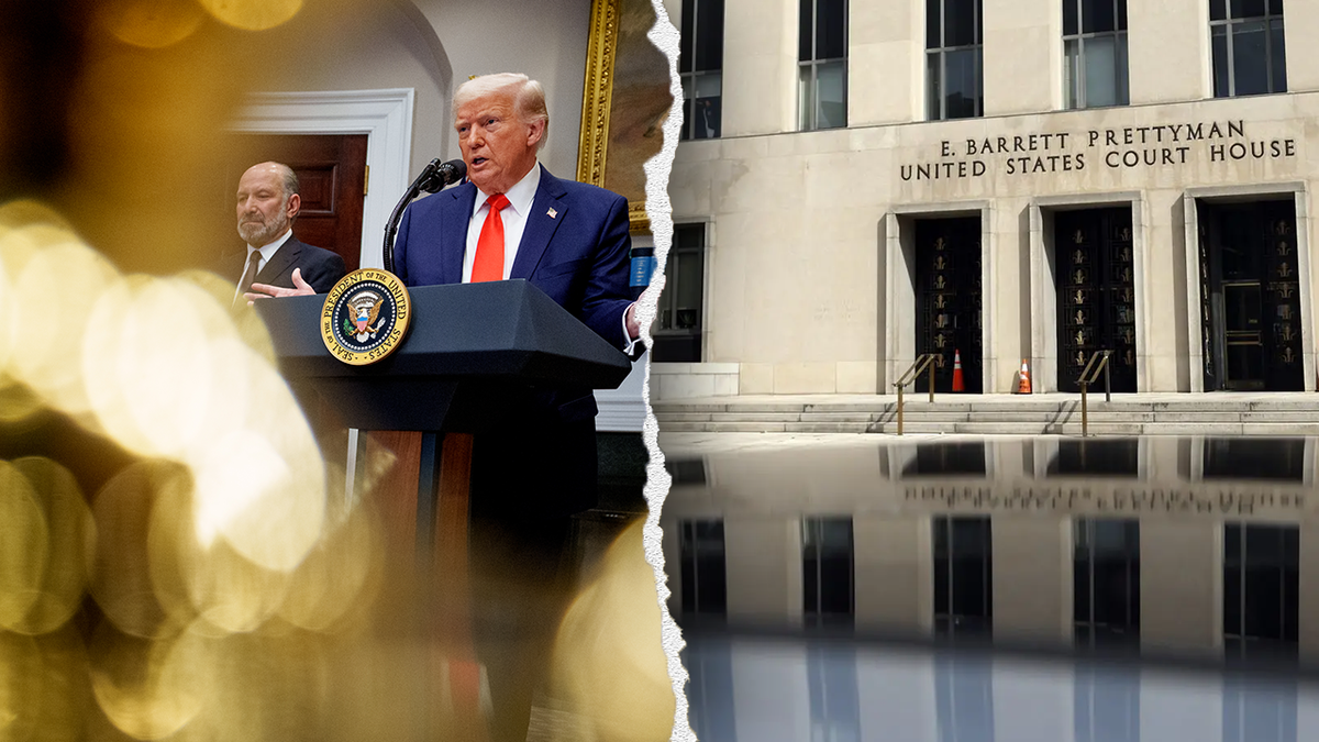 Donald Trump, inspector general firings, Eric Soskin, U.S. Department of Transportation, Jeff Beelaert, Givens Pursley, Department of Justice, lawsuit, U.S. District Judge Ana Reyes, Article II of the Constitution, Humphreys Executor, Inspector General Act of 1978, Chuck Grassley, Senate Judiciary Committee, presidential power, executive authority, government watchdog, amicus brief
