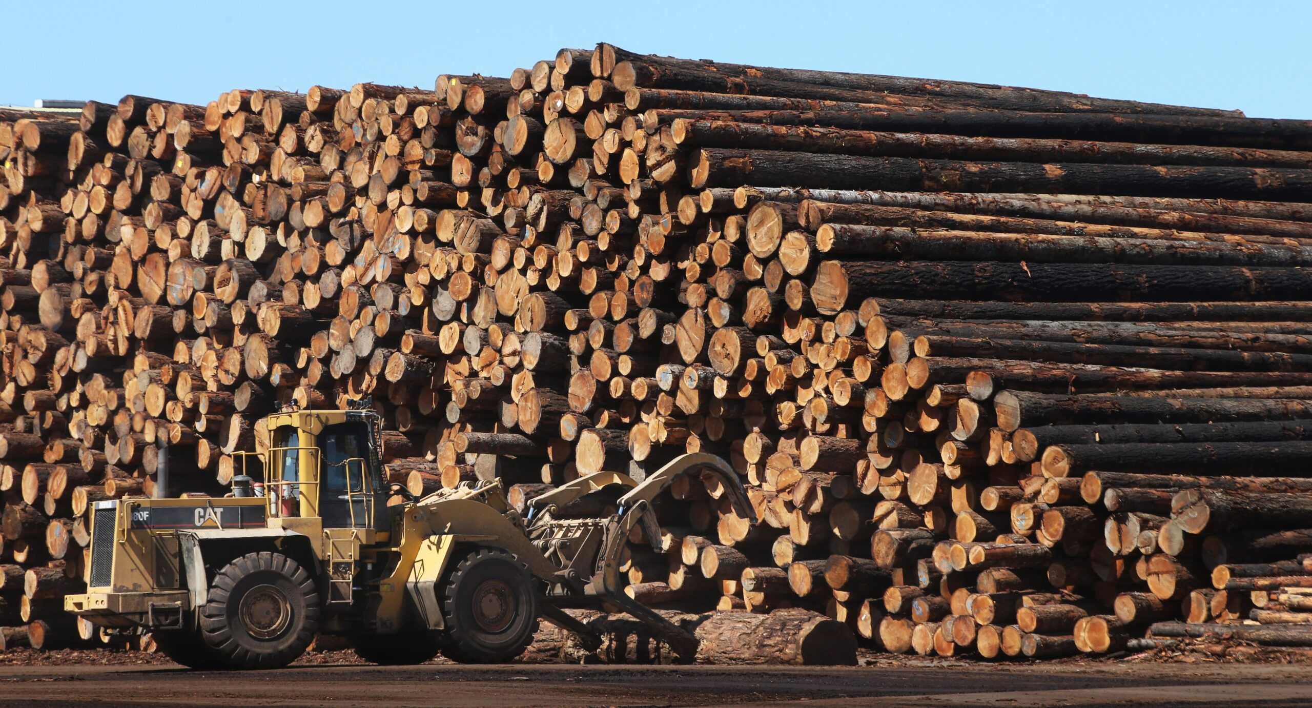 Trump logging, wildfire prevention, timber industry, executive order, forest management, environmental concerns, carbon emissions, endangered species, U.S. Lumber Coalition, tariffs, timber imports, forestry experts, Scott Stephens, Chad Hanson, Mindy Crandall, Randi Spivak, overstocked forests, job creation, wood product imports, legal pushback, Center for Biological Diversity, Earthjustice
