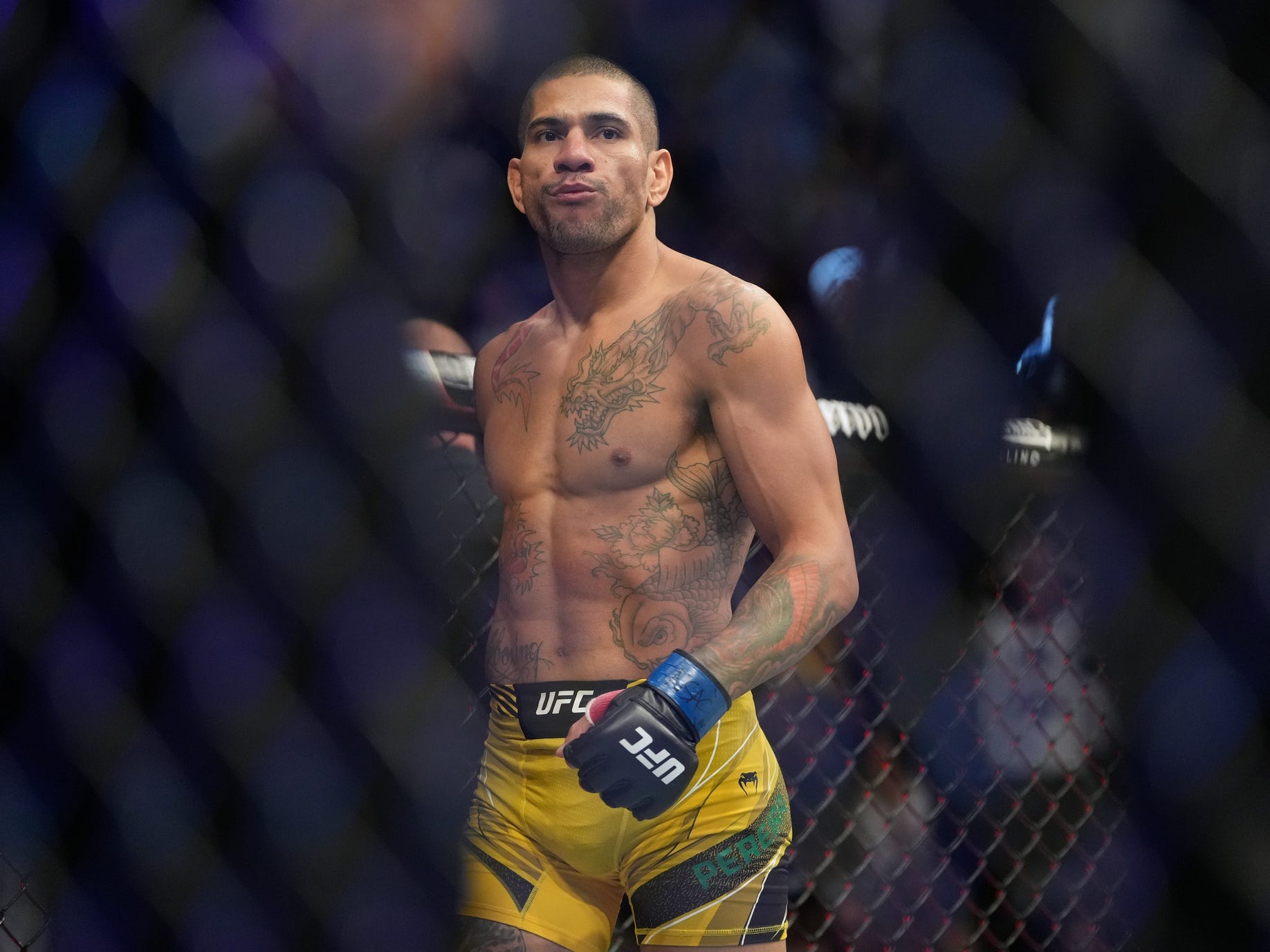 Alex Pereira, Magomed Ankalaev, UFC 313, light heavyweight title, fight prediction, odds, ESPN+ PPV, MMA news, T-Mobile Arena, Las Vegas, Jamahal Hill, Alexander Volkanovski, KO/TKO, takedown defense, leg kicks
