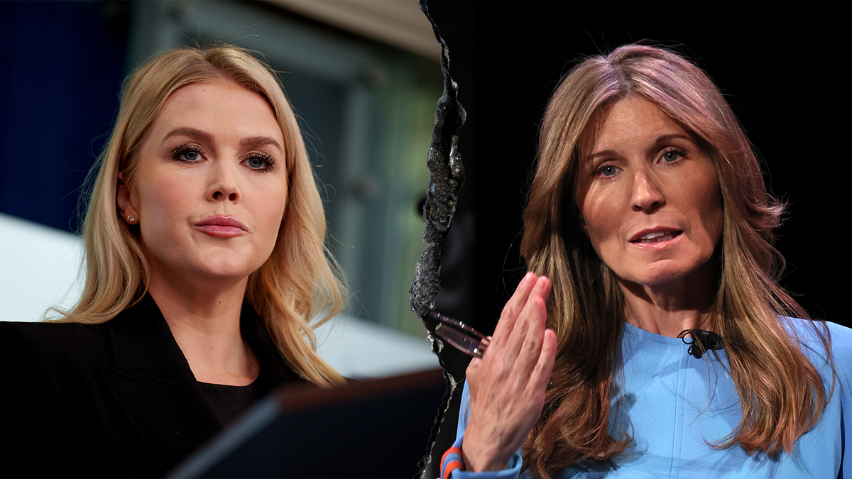 Nicolle Wallace, MSNBC, Donald Trump, DJ Daniel, cancer survivor, Trump Derangement Syndrome, TDS, Rachel Maddow, Fox News, media bias, political commentary, cable news, viewership, ratings, January 6th, Capitol Riots, Joe Concha
