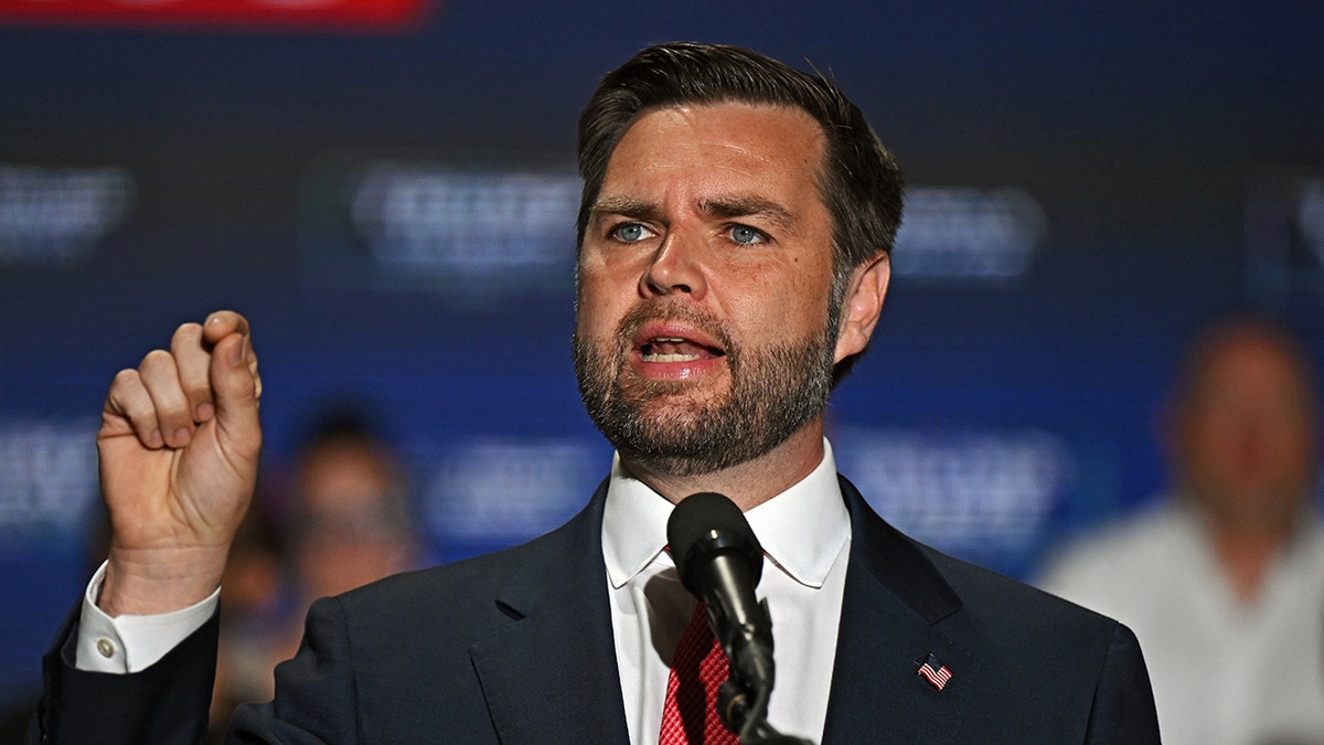 JD Vance, Ukraine, protesters, Zelenskyy, Trump, Slava Ukraini, Oval Office, Russia, peace deal, intelligence sharing, rare earth minerals, sanctions, World War III, political protest, Vermont, Tim Miller
