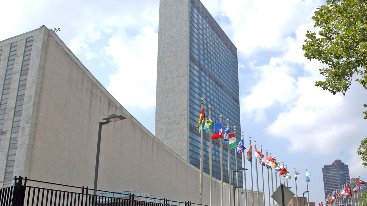 United Nations, UN, children in conflict zones, Israel, Palestine, IDF, Hamas, Gaza, West Bank, human shields, humanitarian aid, Kfir Bibas, Ariel Bibas, Hezbollah, Danny Danon, UNRWA, war crimes, international law, accountability
