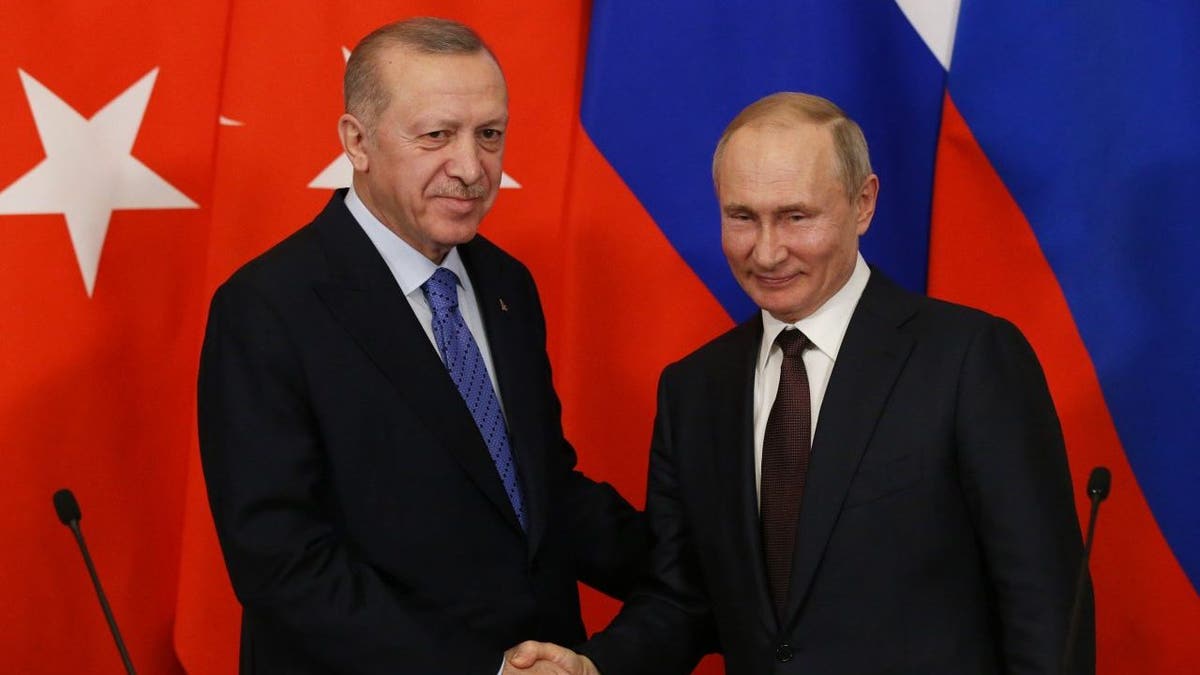 Turkey, US Foreign Policy, Near East, Europe, State Department, Diplomatic Realignment, Recep Tayyip Erdogan, NATO, Russia, China, Iran, Hamas, Brad Schneider, Gus Bilirakis, Turkey Diplomatic Realignment Act, Bureau of European and Eurasian Affairs, Bureau of Near Eastern Affairs, Jonathan Schanzer, Foundation for Defense of Democracies, S-400 missile defense system, Endy Zemenides, Hellenic American Leadership Council, Turkish-American relations
