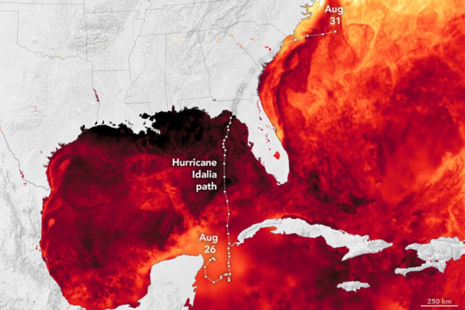 Hurricane Idalia, hurricane intensification, freshwater plume, river discharge, Gulf of Mexico, storm analysis, climate change, extreme weather, hurricane season, storm forecast, environmental research, Category 5 hurricane, Hurricane Milton
