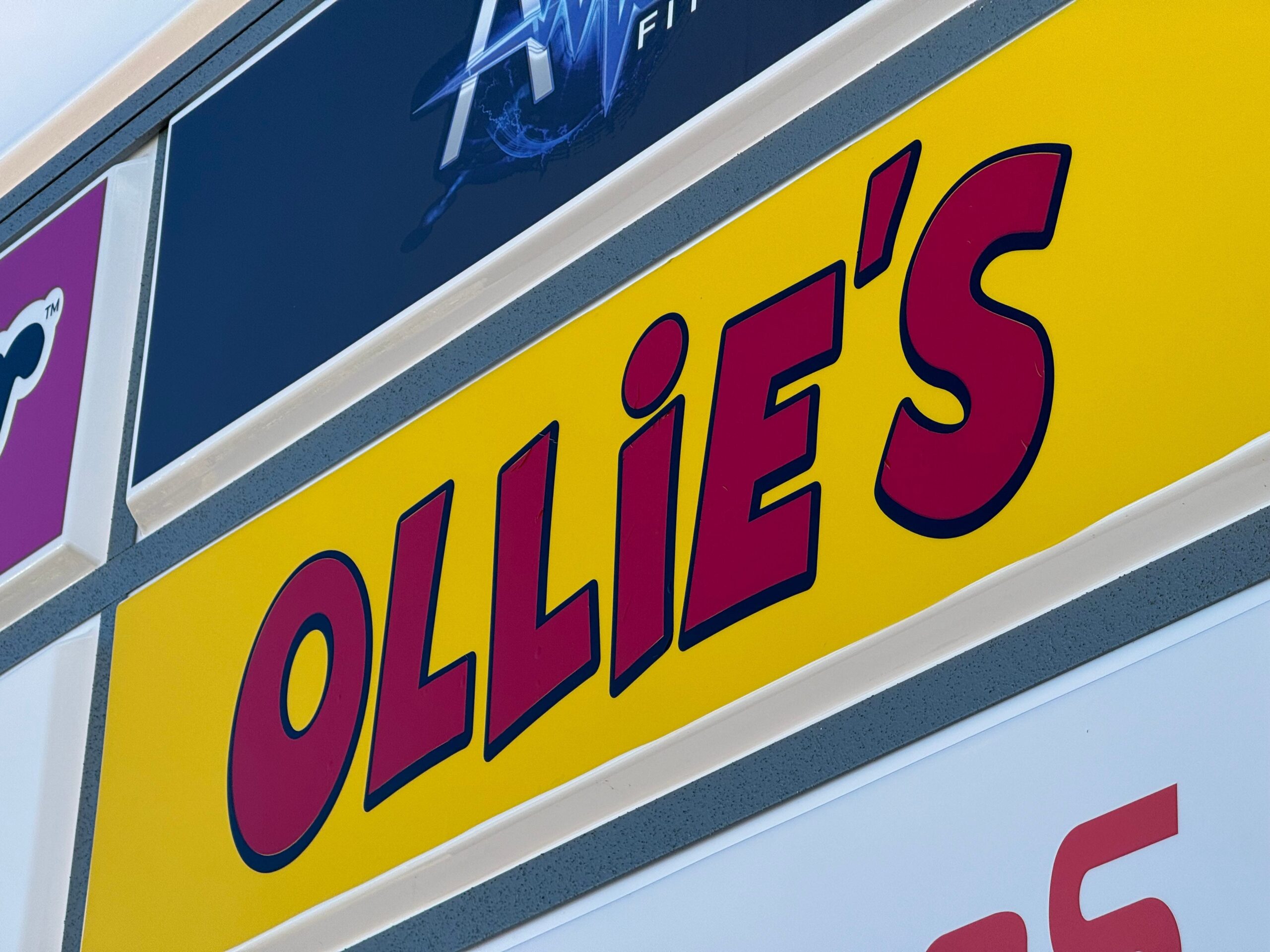 Ollie's Bargain Outlet, Big Lots, bankruptcy, store leases, acquisition, Gordon Brothers, retail, store closures, liquidation, Variety Wholesalers, Roses Discount Stores, retail industry, discount stores, Eric van der Valk, Bruce Thorn, store openings, going out of business sales
