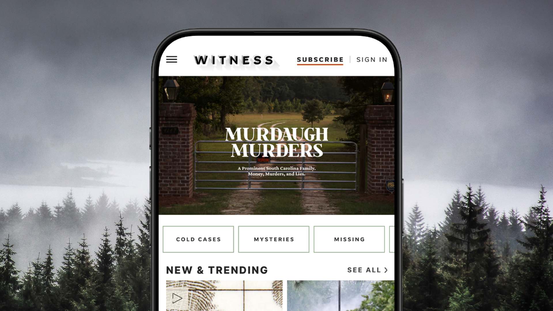 true crime, investigative journalism, USA TODAY, WITNESS, subscription service, murder, missing persons, Josie Berrios, Rachel Glass, Cocaine Bear, crime sagas, corruption, accountability, podcasts, videos, in-depth stories
