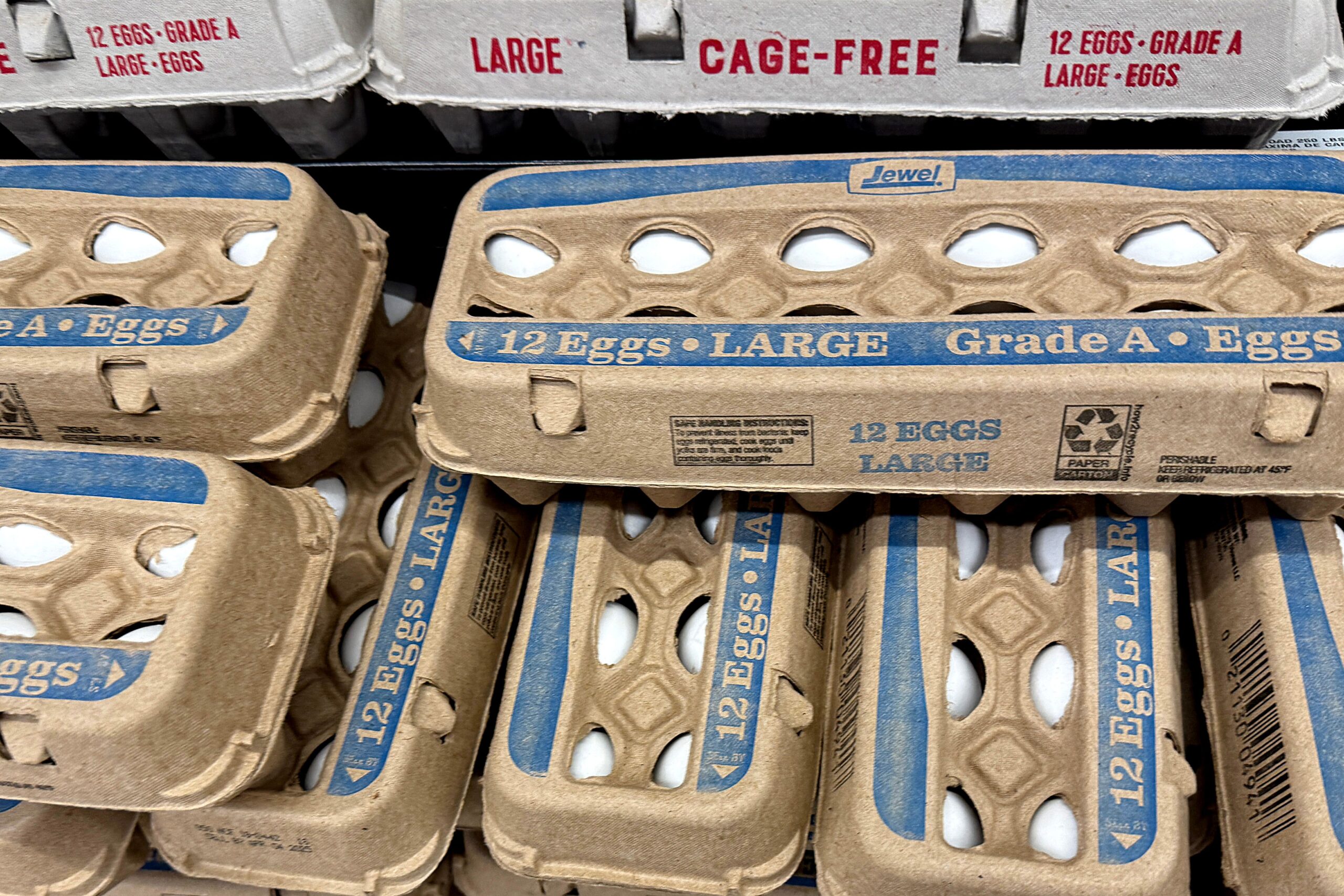 egg prices, inflation, grocery prices, consumer price index, food costs, bird flu, consumer spending, Morning Consult survey, FMI – The Food Industry Association, shopper concerns, value grocery stores, Betty Lin-Fisher, USA TODAY
