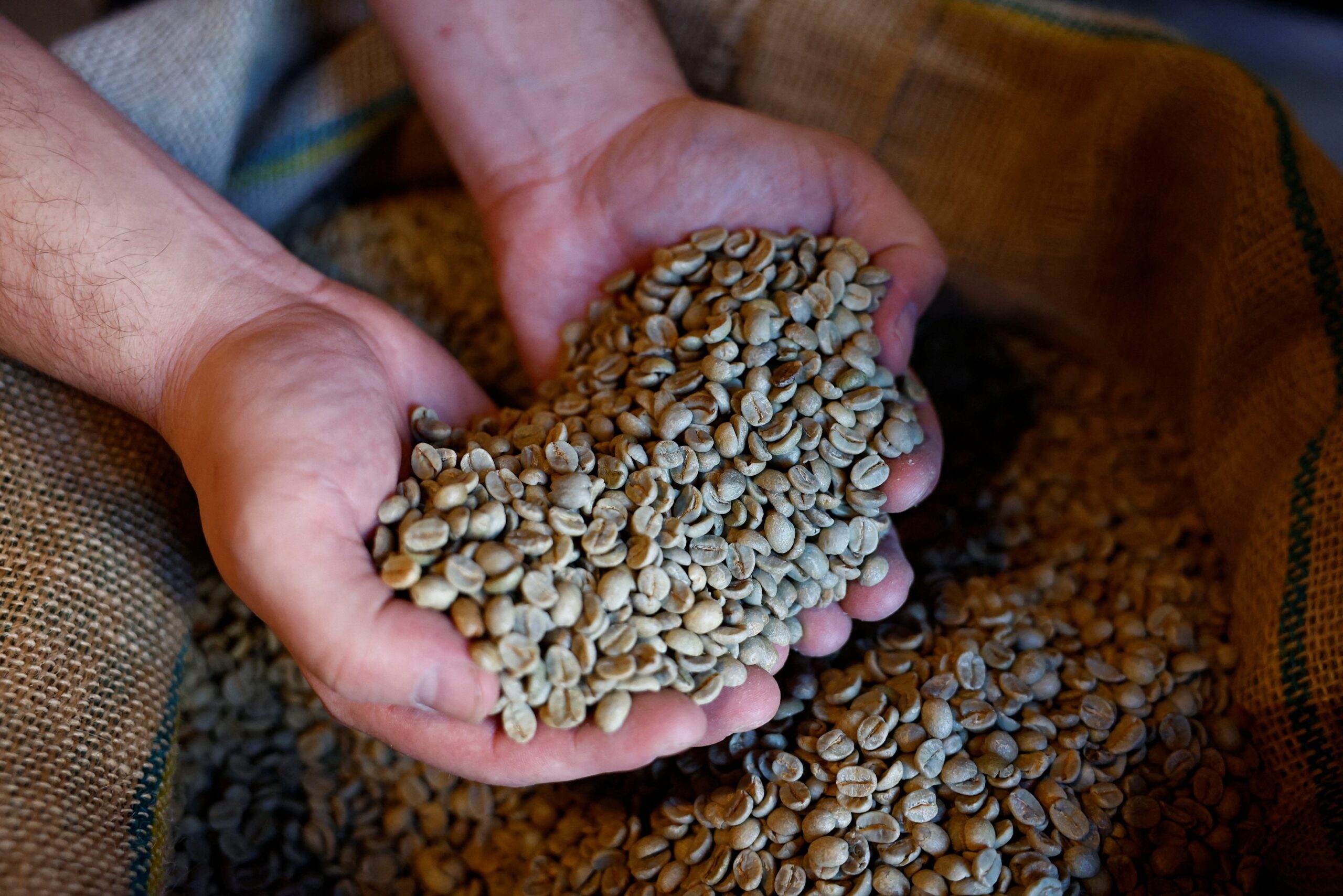 Coffee theft, green coffee beans, coffee prices, truck theft, coffee industry, U.S. National Coffee Association, coffee supply chain, coffee logistics, coffee importers, coffee roasters, coffee market, Brazil coffee theft, Vietnam coffee theft, Hartley Transportation, Todd Costley
