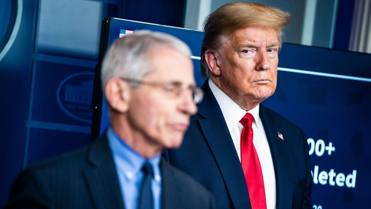 coronavirus, COVID-19, Trump, Biden, election 2020, Fox News, Fauci, Birx, CDC, pandemic, lockdowns, masks, social distancing, USNS Mercy, USNS Comfort, ventilator shortage, economic impact, state shutdowns, New York, Washington state, Pennsylvania, Super Tuesday
