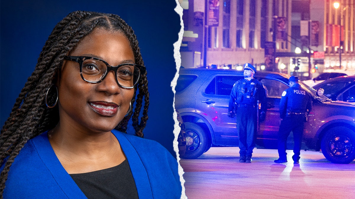 Illinois, House Bill 3458, Lisa Davis, mental health, police officers, aggravated battery, law, legislation, crime, Illinois General Assembly, Rules Committee, Marcus Evans, Kelly Cassidy, Second Cop City, CWB Chicago
