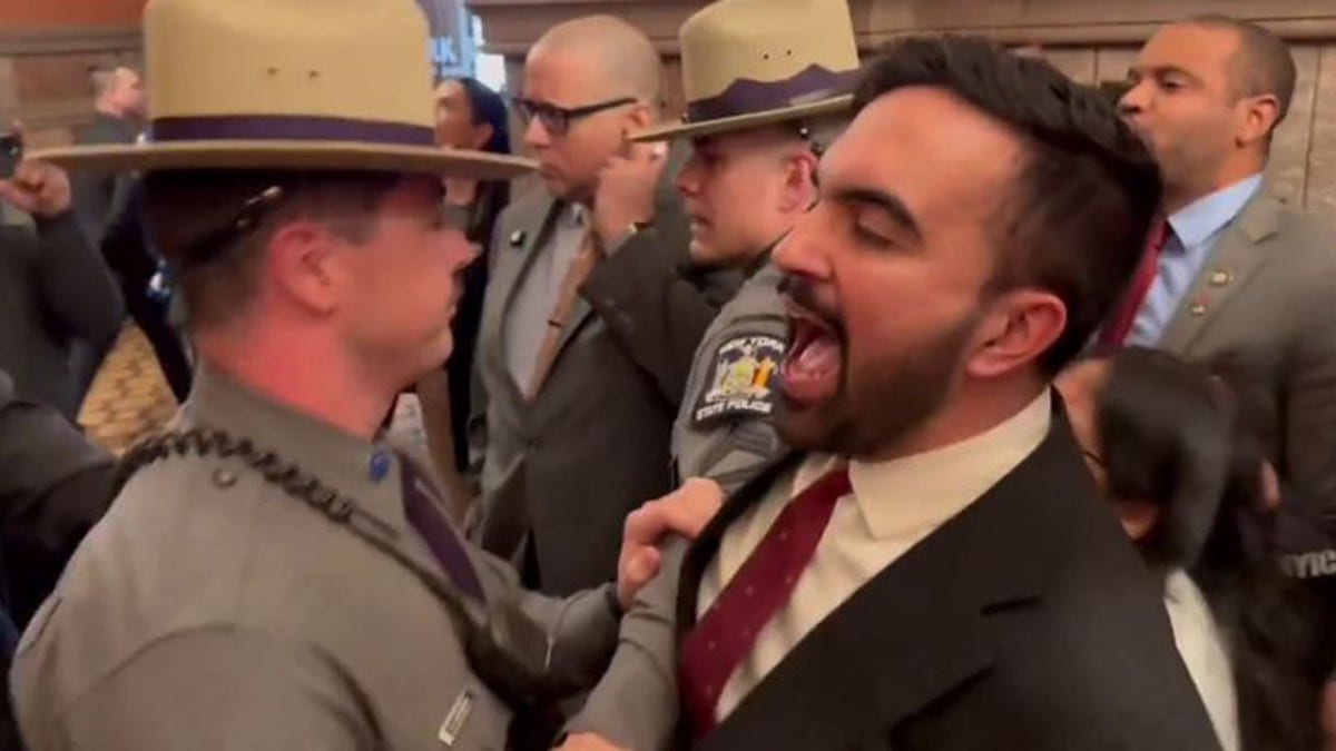 Zohran Mamdani, Tom Homan, Mahmoud Khalil, Columbia University, immigration, deportation, New York, Green Light law, illegal immigration, protests, Israel, Trump administration, ICE, First Amendment, Eric Adams, drivers license, anti-Israel activist, New York State Assembly
