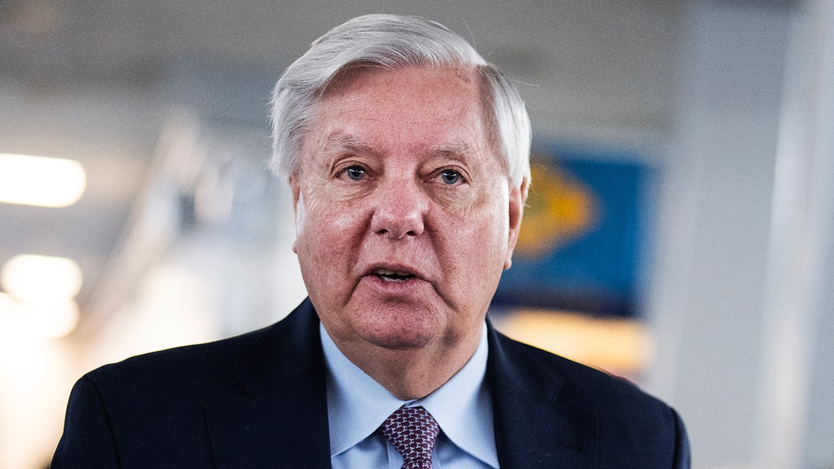 Russia-Ukraine war, Lindsey Graham, sanctions, tariffs, ceasefire, peace negotiations, U.S. policy, Ukraine, Russia, intelligence sharing, security assistance, bipartisan support, Zelenskyy, U.S. Senate, foreign policy
