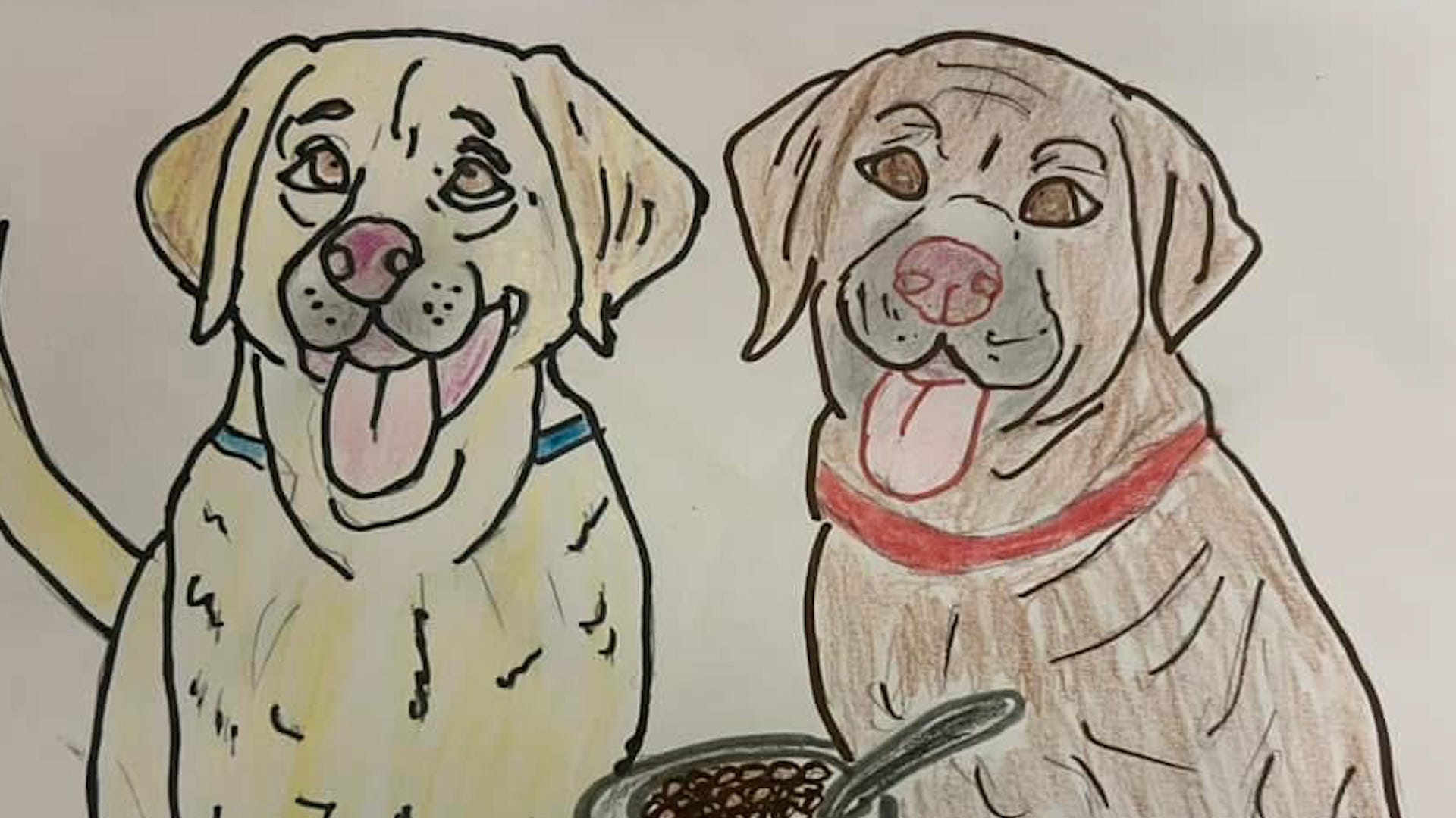 animal shelter, dog portraits, pet fundraiser, poorly drawn pets, Cumberland County Animal Services, medical fund, animal rescue, dog adoption, pet art, North Carolina, kitten season, veterinary care, Geneva the dog
