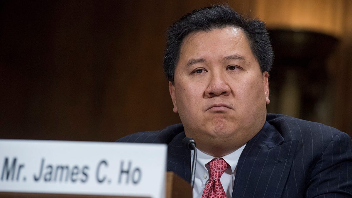 Judge James Ho, Federal Judges Association, judicial independence, threats against judges, politicization of the judiciary, Justice Thomas, Justice Alito, Justice Kavanaugh, Trump, DOGE, Elon Musk, judicial impeachments, J. Michelle Childs, conservative judges, liberal judges, First Amendment, free speech, rule of law, U.S. Constitution, judicial security, impartiality, disinformation, criticism of judiciary, Federalist Society.
