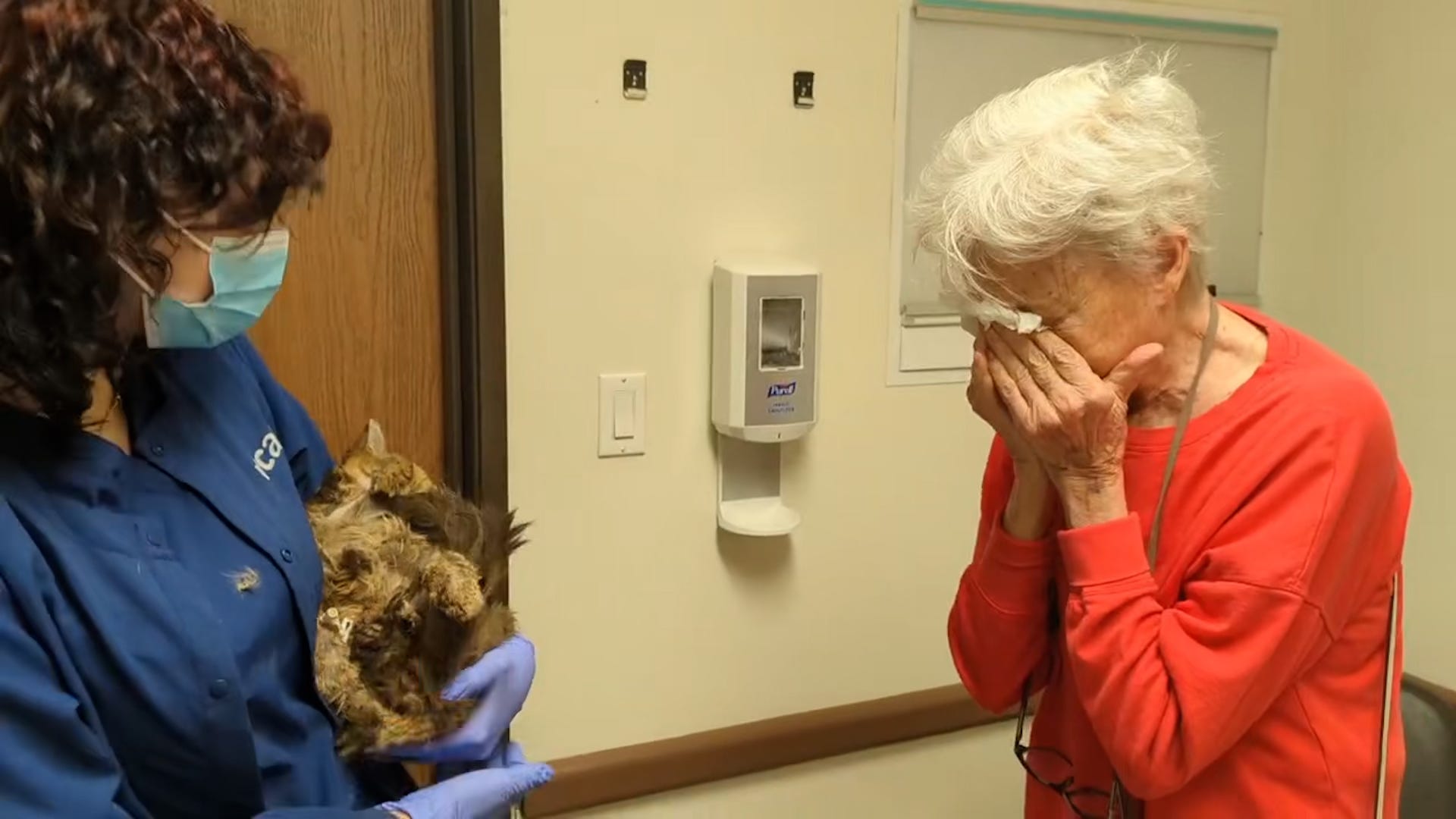 Wildfire, cat rescue, lost cat, reunited, emotional reunion, good news, uplifting story, cancer survivor, Maine Coon, Palisades Fire, Los Angeles, West Los Angeles Animal Shelter, heartwarming, Katherine Kiefer, Aggie, hope restored
