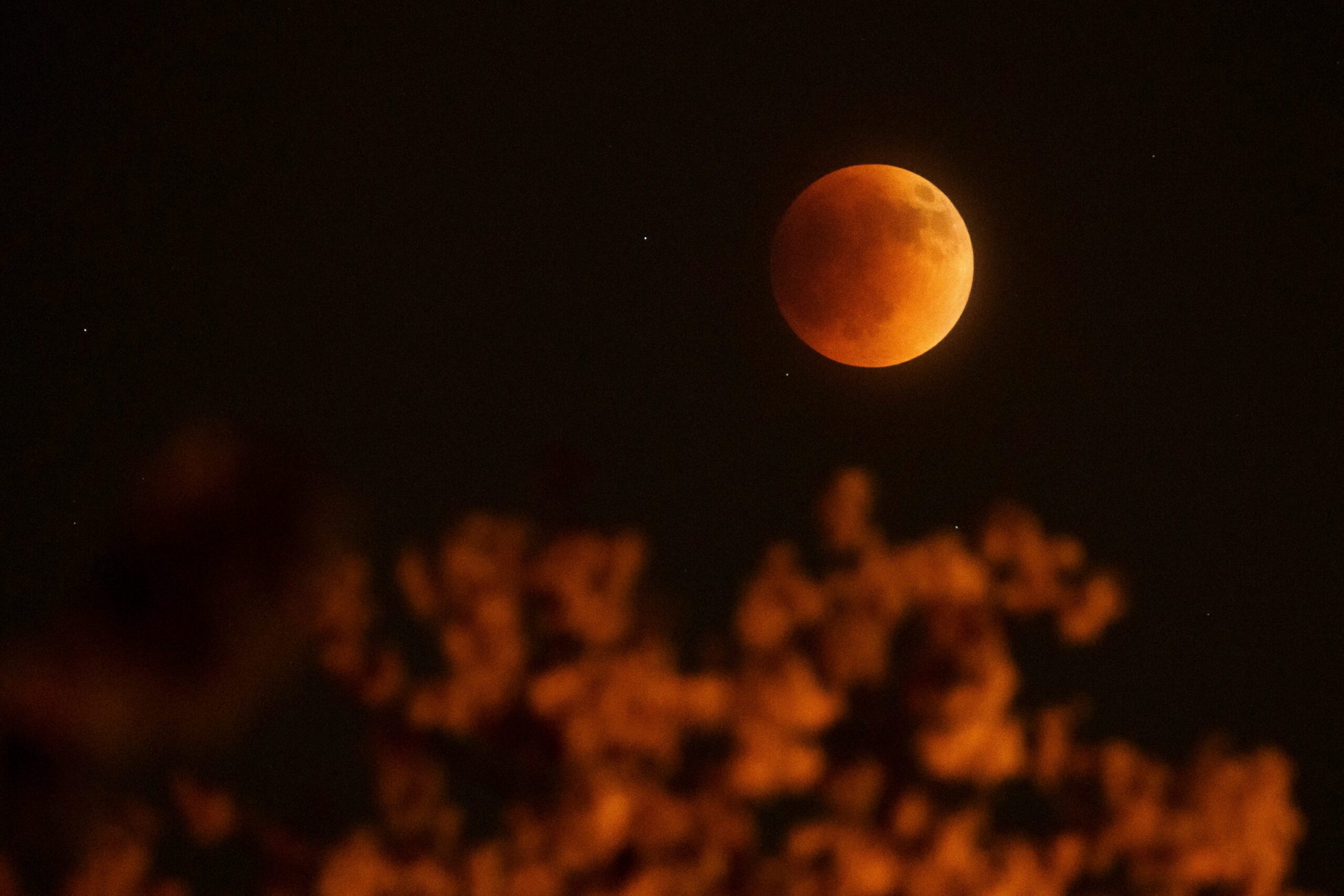 total lunar eclipse, blood moon, lunar eclipse 2024, NASA, celestial event, astronomy, night sky, moon, Earth's shadow, U.S., viewing tips, West Coast, visibility, March 3, 2026, eclipse times, North America, South America, Europe, Africa, penumbra, umbra, weather forecast, lunar eclipses 2025-2030
