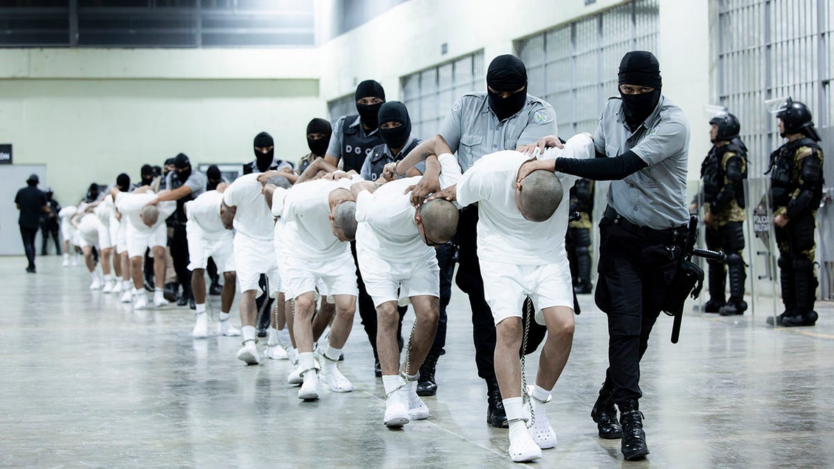 United States, El Salvador, Venezuelan immigrants, deportations, Tren de Aragua gang, Nayib Bukele, Karoline Leavitt, Alien Enemies Act, Trump administration, Marco Rubio, immigration policy, foreign policy, criminal aliens, U.S. taxpayers, detention costs, prison system, security, international relations
