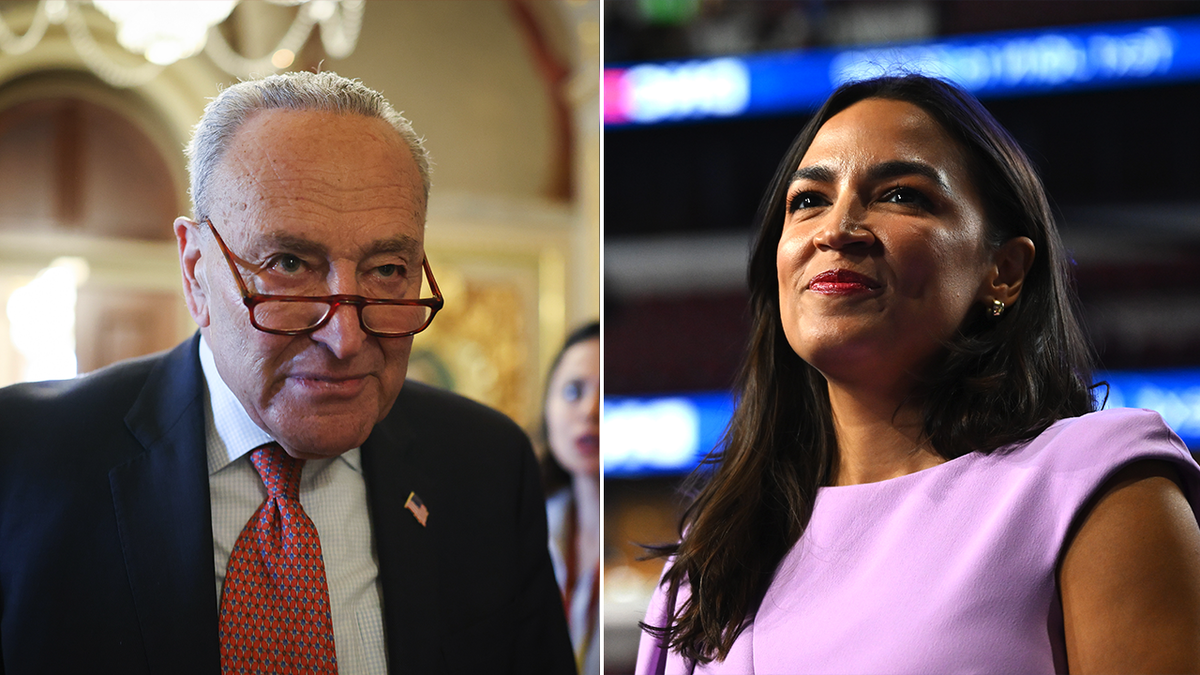 Chuck Schumer, Alexandria Ocasio-Cortez, AOC, primary challenge, 2028 election, Democratic Party, Republican spending bill, government shutdown, Donald Trump, Rep. Rosa DeLauro, Elon Musk, continuing resolution, CR, New York Senate seat, political rift, progressive, Fox News
