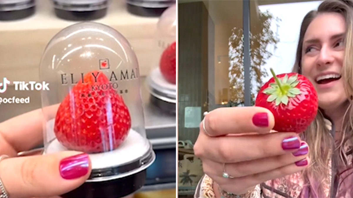 Erewhon, expensive strawberry, Elly Amai strawberry, Kyoto strawberry, Japanese strawberry, organic strawberry, food influencer, TikTok, Lily (@ocfeed), Lauren Godwin, social media trend, luxury food, food review, strawberry price, West Coast grocery store, novelty food, food experience
