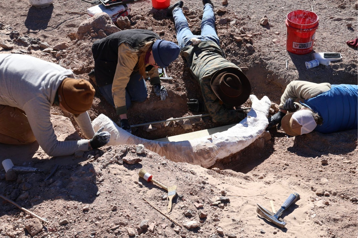 mammoth tusk, West Texas, fossil discovery, O2 Ranch, Sul Ross State University, radiocarbon dating, Columbian mammoth, Ice Age, paleontology, archaeology, Center for Big Bend Studies, Trans-Pecos region, Texas history, mammoth extinction
