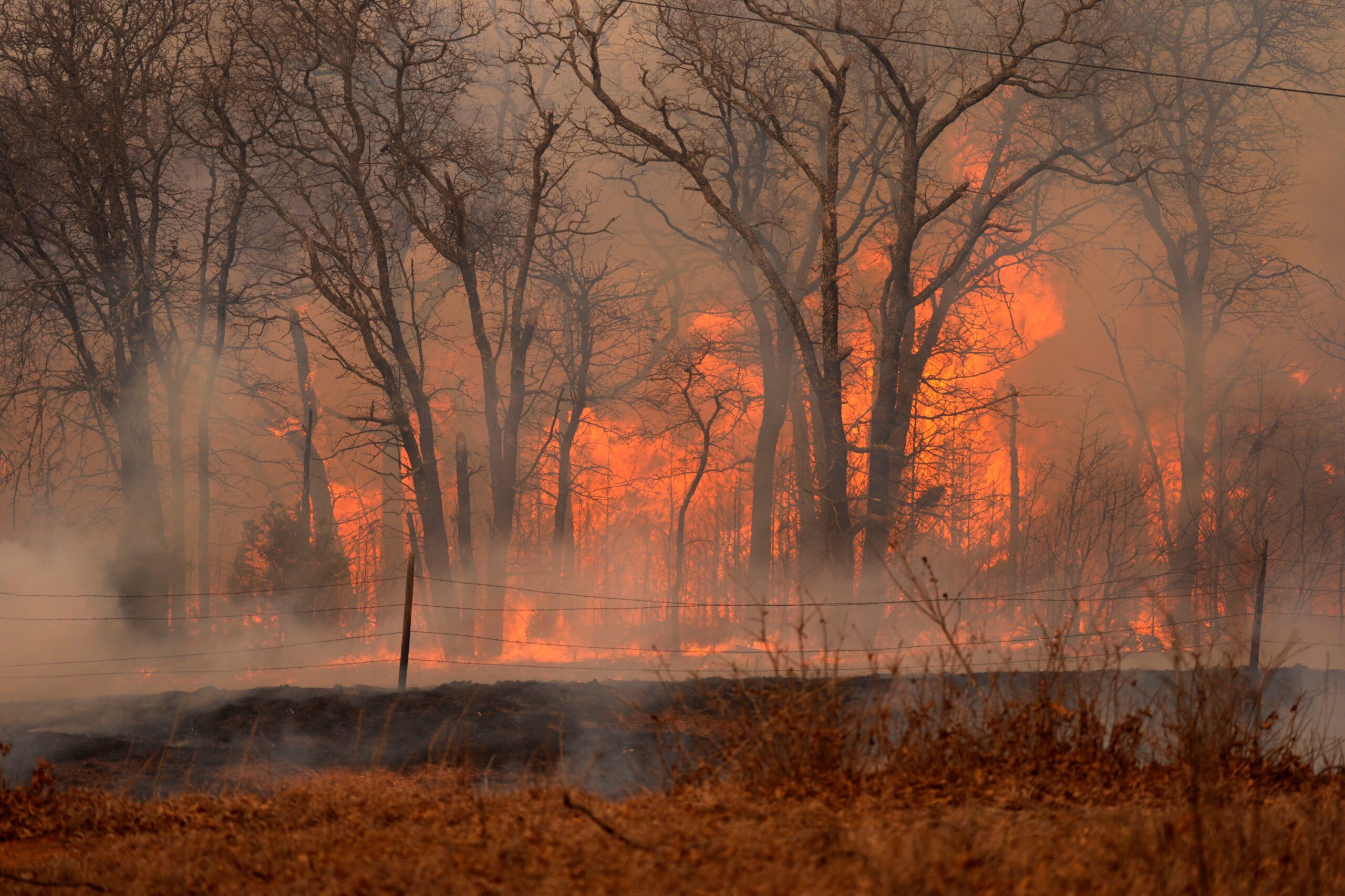 Wildfires, Oklahoma, Fire, Red Flag Warning, Injuries, Homes Destroyed, Acres Burned, Emergency Management, National Weather Service, Fire Risk, USA TODAY, The Oklahoman
