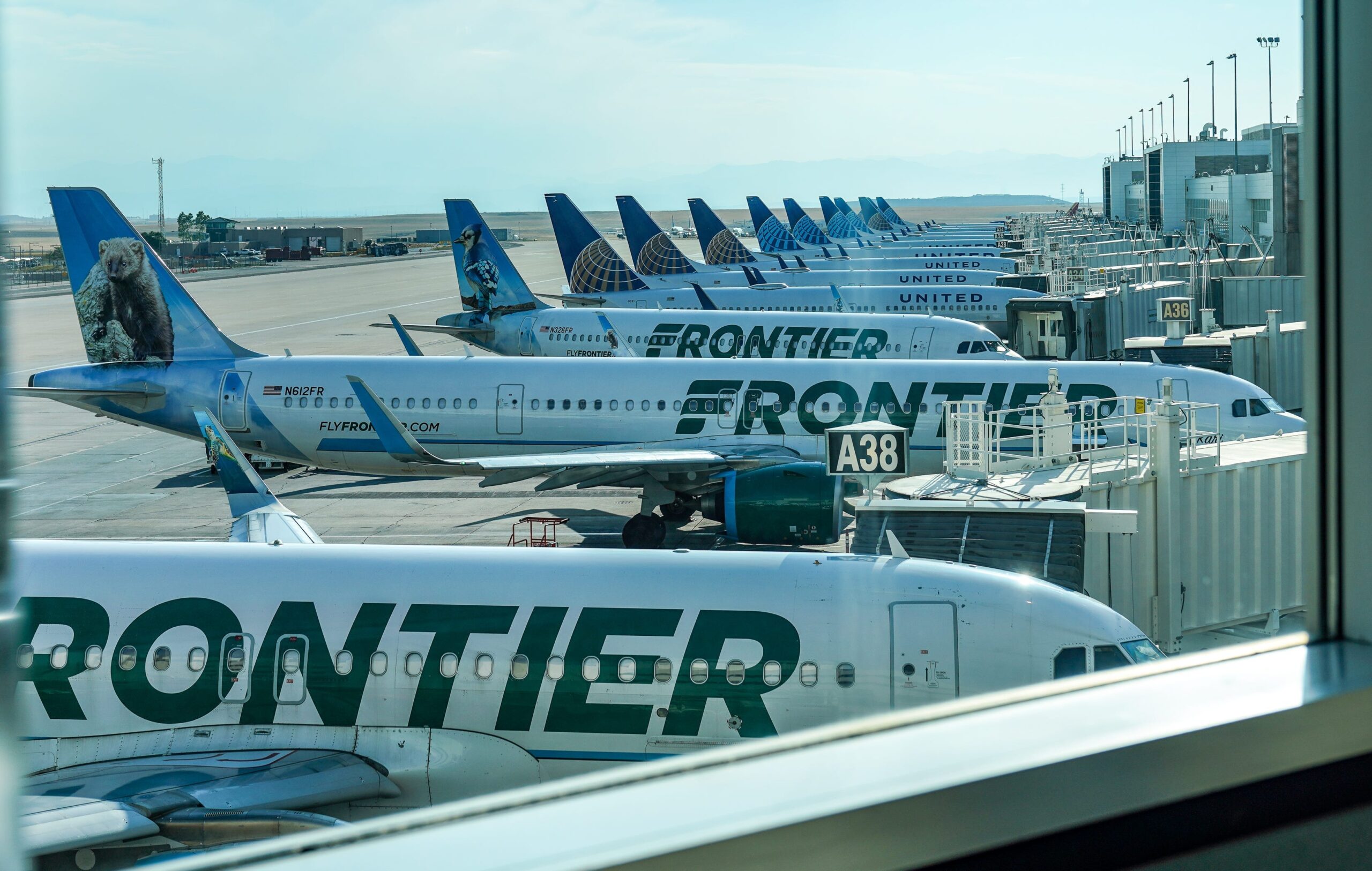 Frontier Airlines, free checked bag, airline promotion, travel deal, Southwest Airlines, checked bag policy, Barry Biffle, economy bundle, flight changes, seat selection, summer travel, airline news, Nathan Diller, USA TODAY
