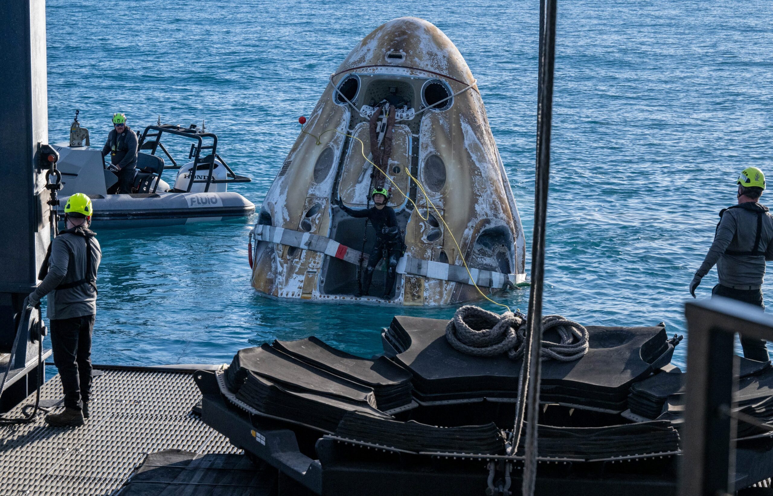SpaceX Dragon capsule, NASA astronauts, Butch Wilmore, Suni Williams, International Space Station, Boeing Starliner, Crew-9, dolphin sighting, Gulf of America, splashdown, space travel, social media, Johnson Space Center, unplanned welcome, bottlenose dolphin, Atlantic spotted dolphin, Rissos dolphin
