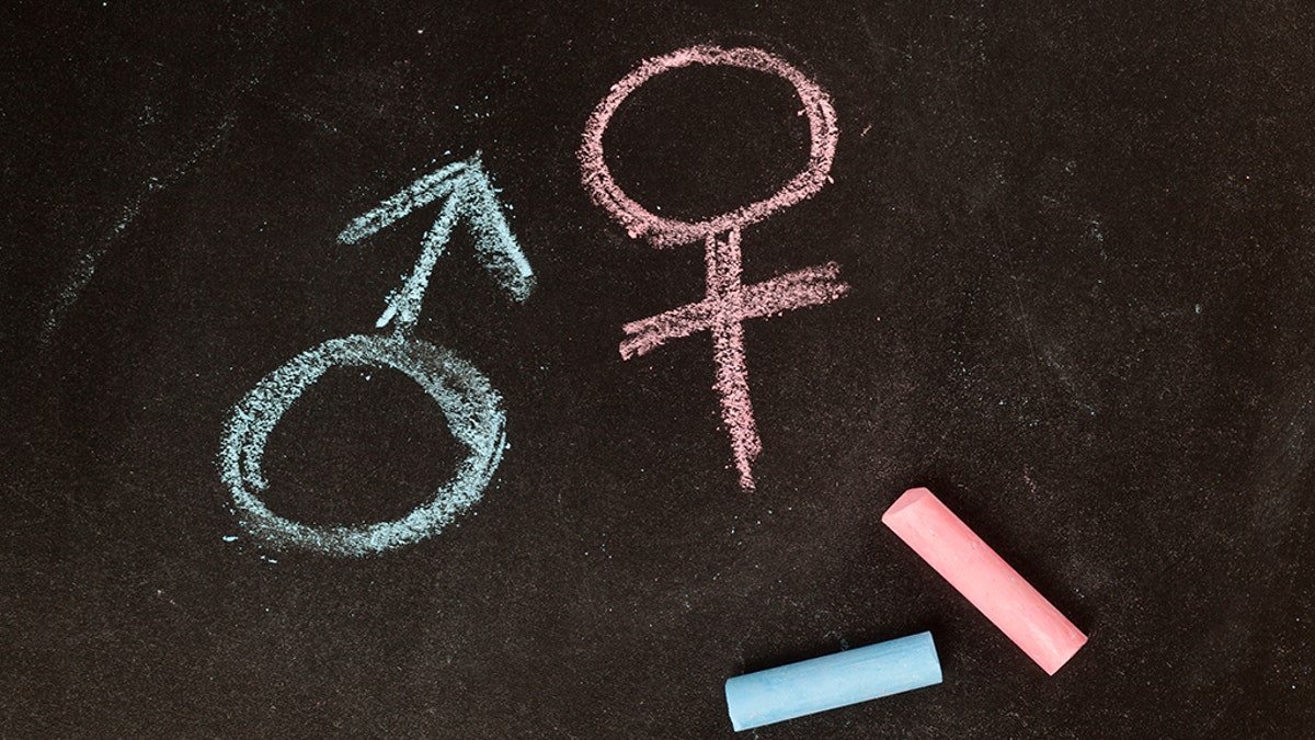 Middle School Student, Gender, First Amendment, Free Speech, Suspension, Lawsuit, East Aurora Middle School, Two Genders, Retaliation, Donald Trump, Executive Order, Student Code of Conduct, R. Anthony Rupp III, J.S., A.B., Matthew Brown, Brian Russ
