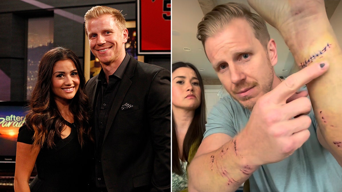 Sean Lowe dog attack, Bachelor alum, Catherine Giudici, Moose the boxer, dog bite injuries, animal control, no-kill shelter, reality TV star, trauma, neurological issues, dog aggression, family safety, emergency room, scars, psychological impact.
