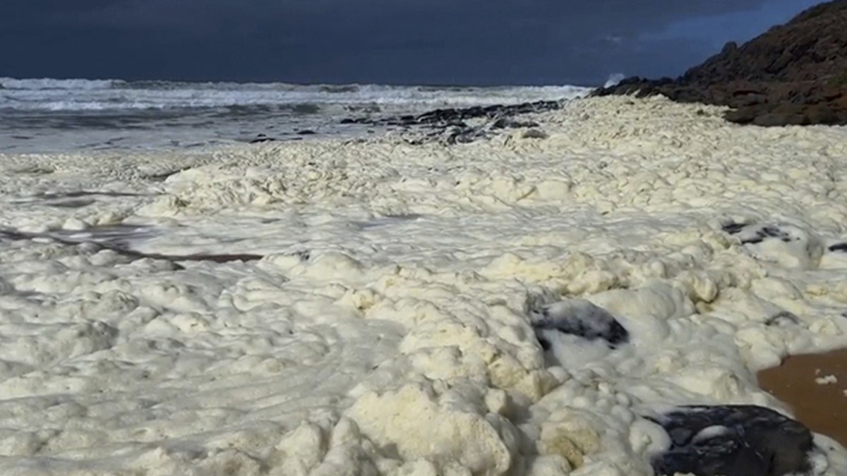Southern Australia, algal bloom, toxic foam, dead fish, beach closures, Waitpinga Beach, Parsons Beach, microalgae, marine toxins, surfer illness, NOAA, Anthony Rowland, marine science, coastal runoff, oceanography
