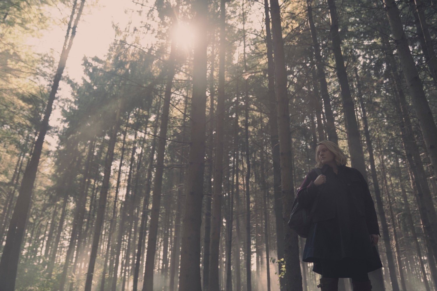 The Handmaid's Tale, season 6, final season, trailer, Elisabeth Moss, June, Gilead, Hulu, Disney+, The Testaments, Margaret Atwood, O-T Fagbenle, Luke, Samira Wiley, Moira, Yvonne Strahovski, Serena Joy, Ann Dowd, Aunt Lydia, premiere date, release date, synopsis, cast, Bradley Whitford, Max Minghella, Madeline Brewer, Amanda Brugel, Sam Jaeger, Ever Carradine, Josh Charles, TV series, dystopian drama, sequel series
