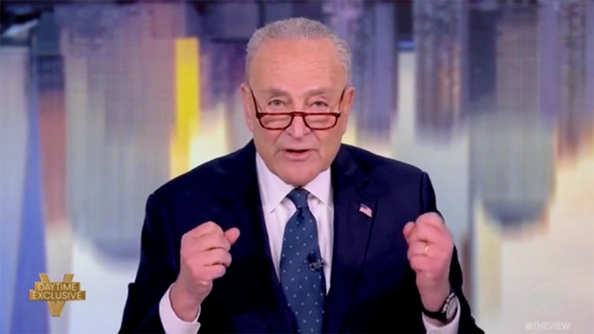 Antisemitism, Chuck Schumer, The View, Antisemitism in America: A Warning, left, progressive Democrats, Israel, genocide, Hamas, October 7 attack, hate crimes, FBI, Donald Trump, Jewish people, anti-Jewish attacks, religious hate crimes, conspiracy theories.
