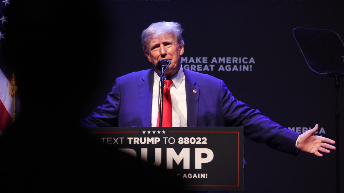 Donald Trump, Philadelphia, Democrats, Republicans, political divide, Trump voters, tariffs, DEI, political reactions, 2024 election