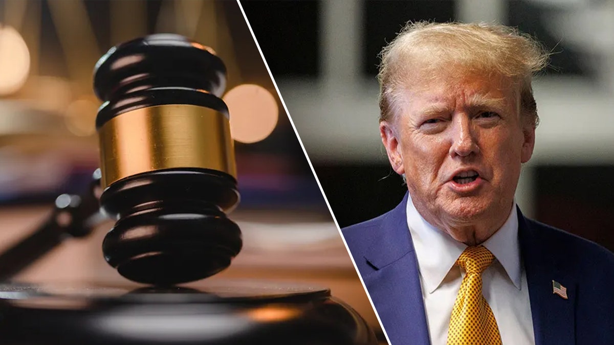 Trump, Donald Trump, preliminary injunction, injunction, judges, court, Supreme Court, separation of powers, executive order, USAID, DOGE, Elon Musk, transgender, military, deportation, Alien Enemies Act, James Boasberg, Theodore Chuang, Ana Reyes, Karoline Leavitt, Pete Hegseth, Stephen Miller, Tom Homan, Amir Ali, impeachment, Mike Johnson, Justice Department, Congress, lawsuits, legal challenge, judicial activism, federal courts, White House, legislation, U.S. Agency for International Development, Venezuelan nationals, Tren de Aragua, John Roberts
