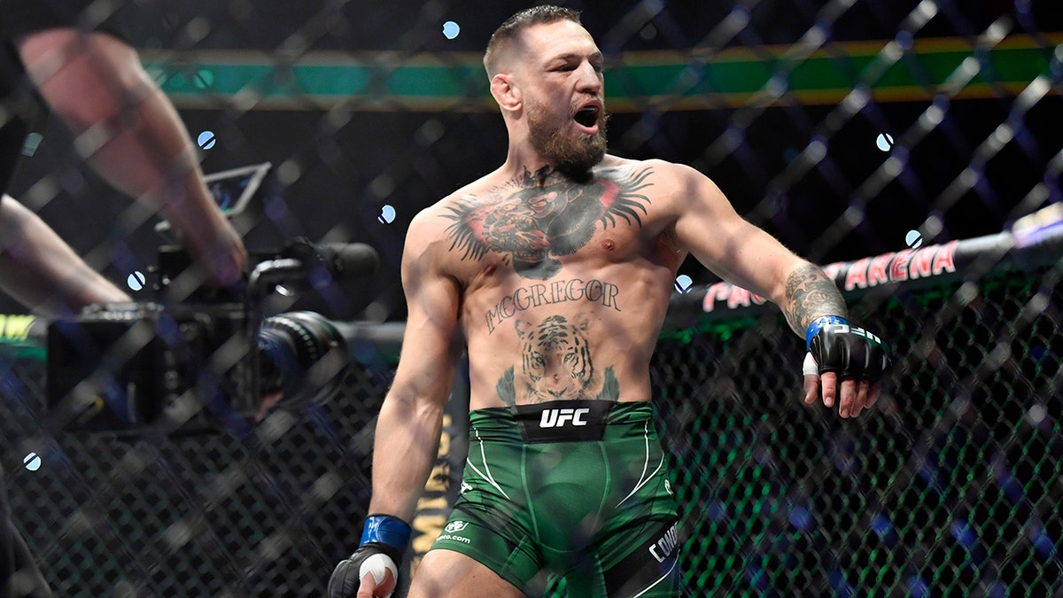 Conor McGregor, Ireland, President, Election, Donald Trump, EU Migration Pact, Irish Government, Politics, UFC, White House, Micheál Martin
