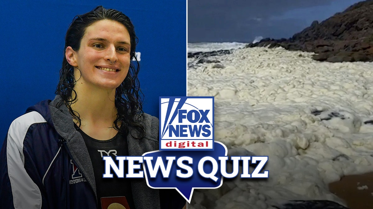 Fox News Quiz, News Quiz, Trump Administration, Transgender Athletes, Women's Sports, Beach Foam, Tesla, White House, March Madness, American Culture Quiz
