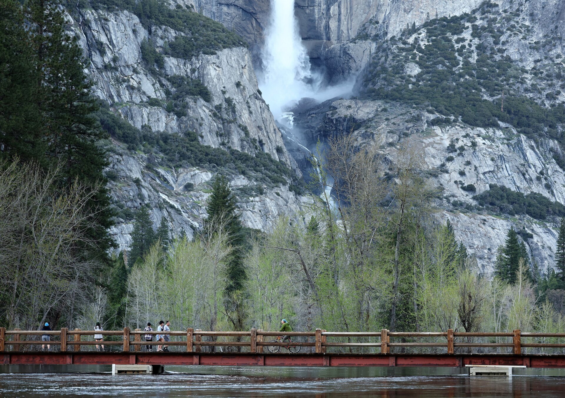 National Parks, Elon Musk, DOGE, National Park Service, Trump Administration, Tourism, Travel, Park Reservations, Understaffing, Yosemite, Cape Cod, Canadian Tourists, Park Cuts, Park Experience, Federal Lands, Economic Uncertainty
