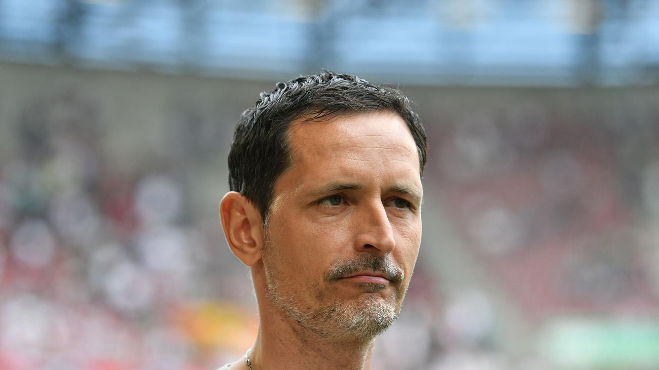 Eintracht Frankfurt, Dino Toppmöller, Europa League, Dog, Animal Clinic, Injury, Rasmus Kristensen, FSV Mainz 05, Bundesliga, Football, Soccer
