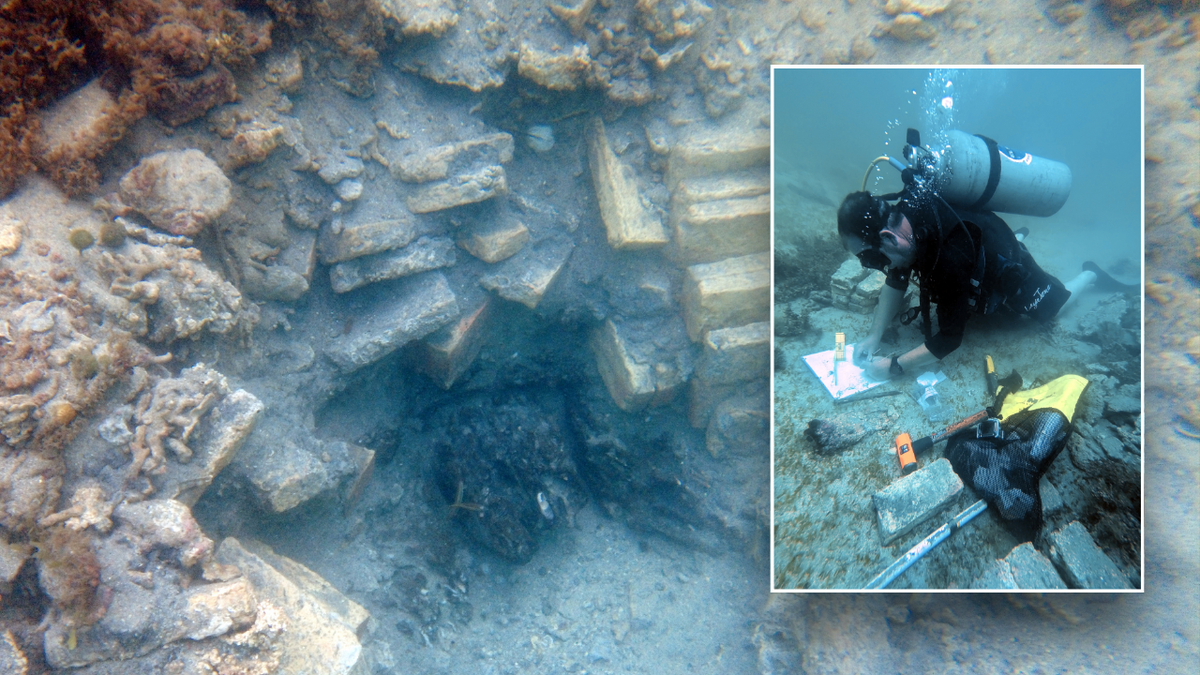 shipwrecks, Danish slave ships, Fridericus Quartus, Christianus Quintus, Costa Rica, Cahuita National Park, 18th century, National Museum of Denmark, marine archaeology, dendrochronology, tree-ring dating, Baltic Sea, yellow bricks, Flensburg, David Gregory, Andreas Kallmeyer Bloch, archaeological excavation, history of Denmark

