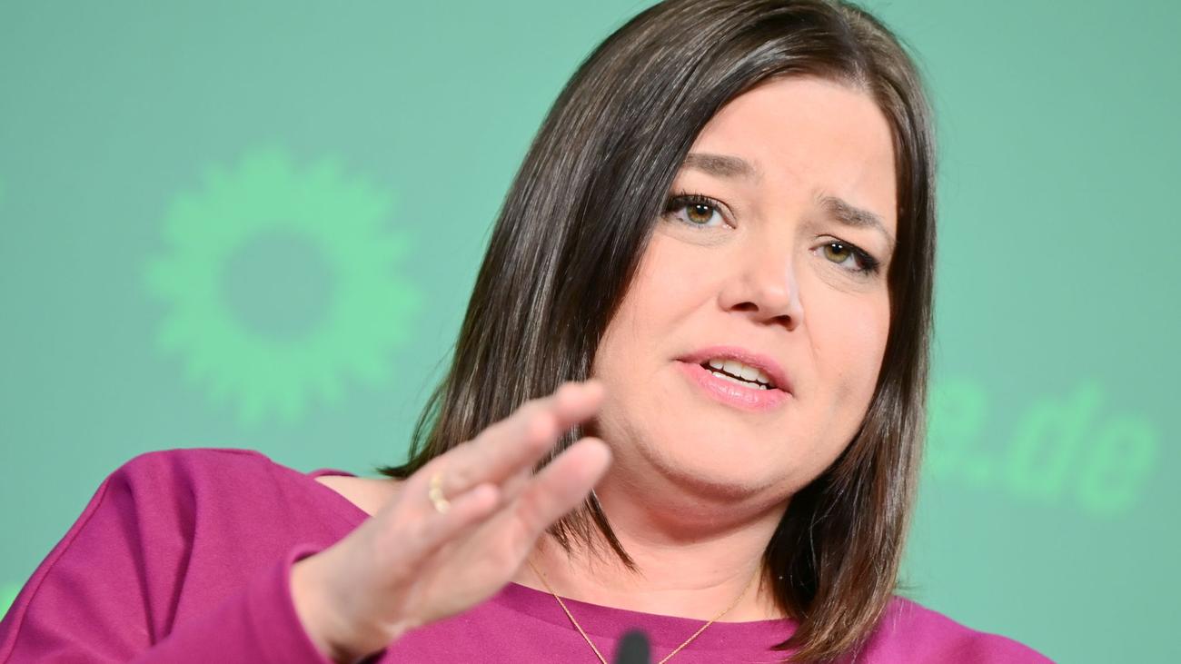 AfD, Hamburg, Verfassungsschutz, Rechtsextremismus, Parteiverbot, Grüne, Linke, SPD, CDU, Andy Grote, Katharina Fegebank, Deniz Celik, Dennis Thering, Dirk Nockemann, Sina Imhof, Dirk Kienscherf, Bundesamt für Verfassungsschutz, Verbotsverfahren, politische Meinung, Demokratie
