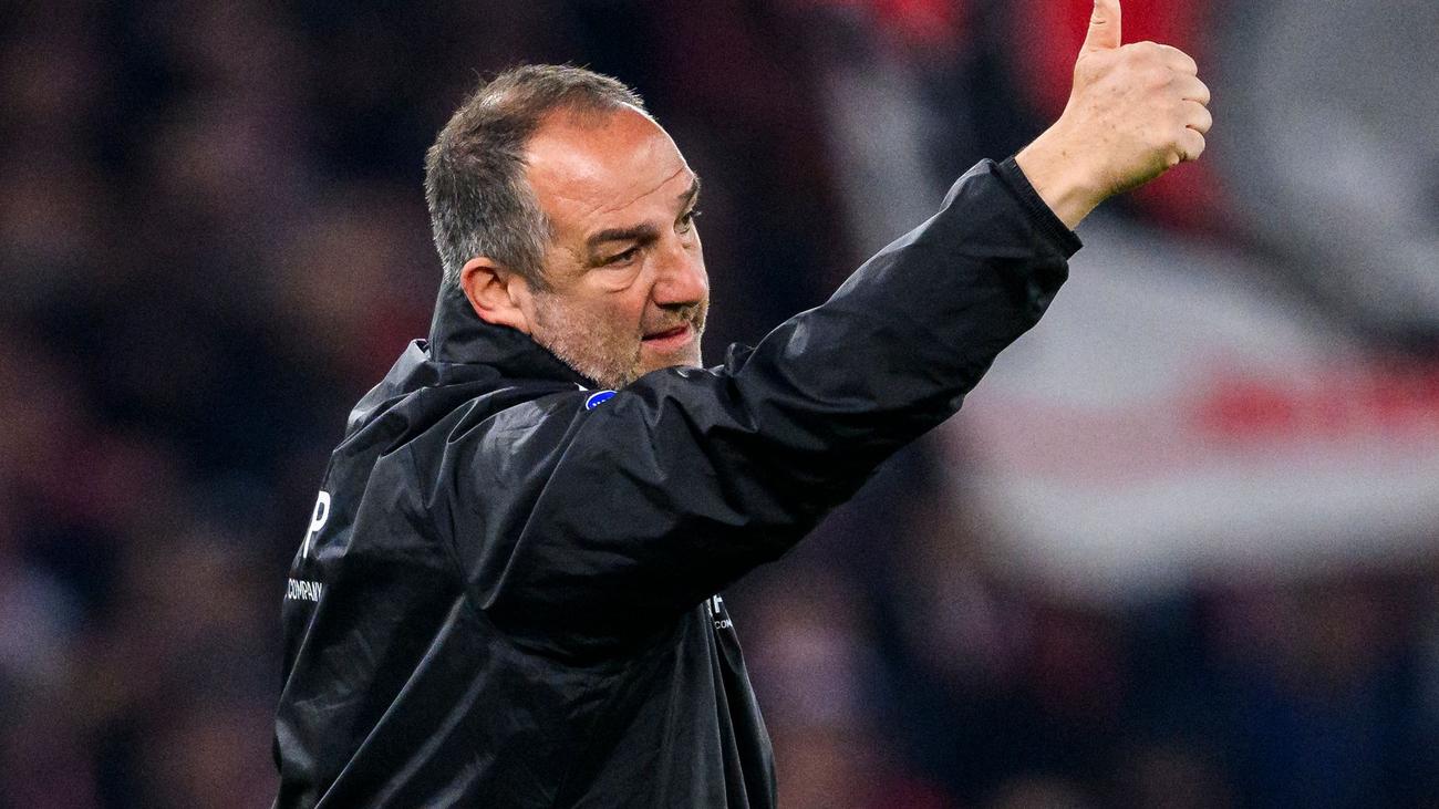 1. FC Heidenheim, VfL Bochum, Bundesliga, Abstiegskampf, Relegation, Frank Schmidt, Dieter Hecking, Fußball, Spieltag 32, Abstieg, Klassenerhalt, Holstein Kiel, TSG Hoffenheim, Fußball-Bundesliga
